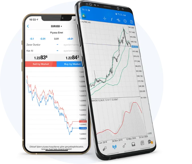 N1cm metatrader